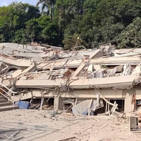 Avas Venezuela La historia real de Jochen y Apolo despues del terremoto en Laguaira 2026