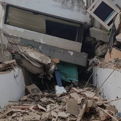Avas Venezuela La historia real de Jochen y Apolo despues del terremoto en Laguaira 2026