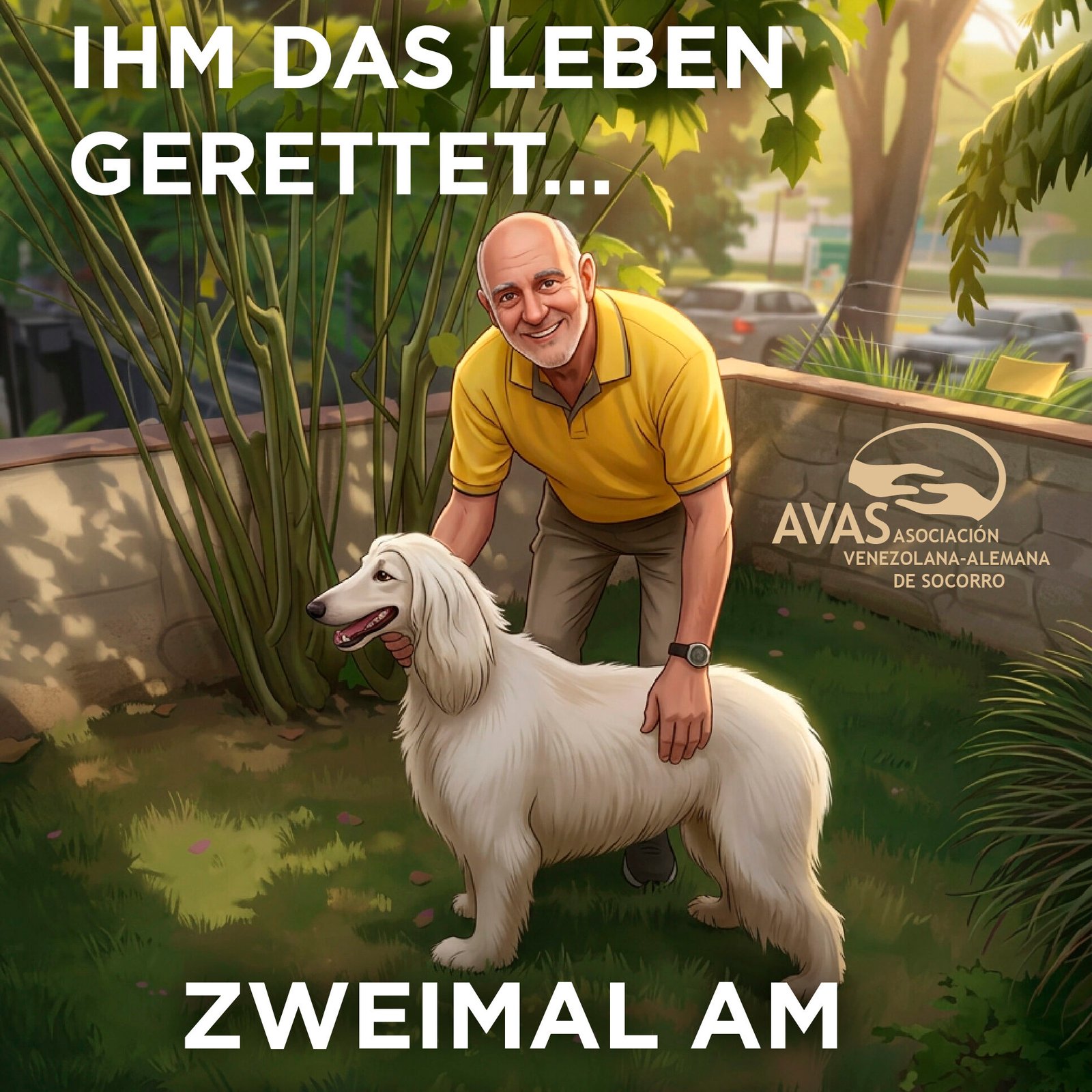 Geschichten von AVAS: Jochen und Apolo – Überlebende des Erdbebens in La Guaira, Venezuela